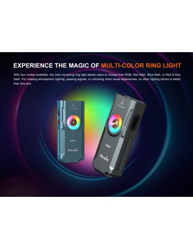 Linterna Fenix E06R (Color gris) - 700 lúmenes