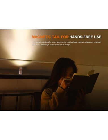 Linterna Fenix E06R (Color gris) - 700 lúmenes