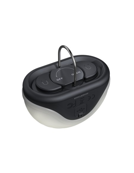 Linterna camping Fenix CL20R V.0 Color negro - 300 lúmenes