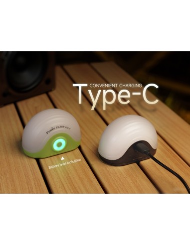 Linterna camping Fenix CL20R V.0 Color negro - 300 lúmenes