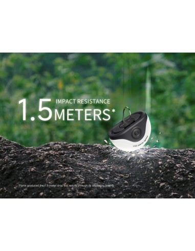 Linterna camping Fenix CL20R V.0 Color negro - 300 lúmenes