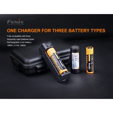 Cargador de batería Smart Fenix ARE X1 V2.0